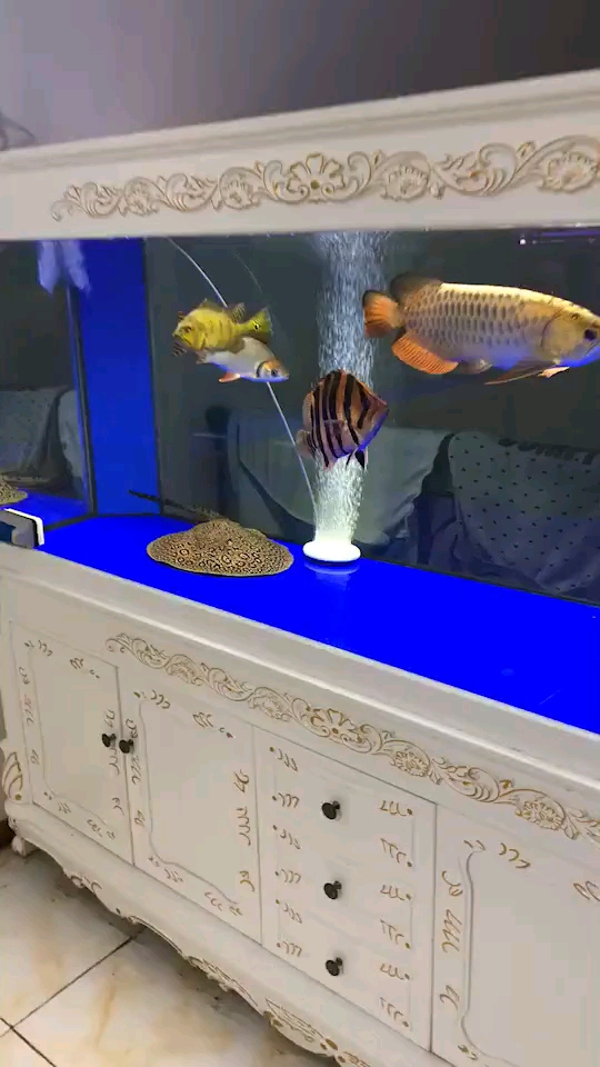 霸气龙虎