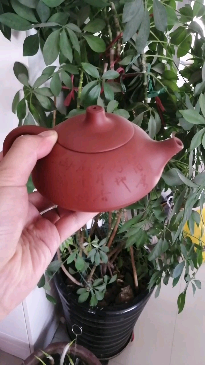 韵～紫砂壶