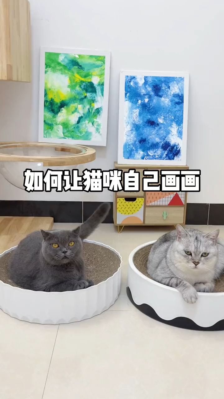 #我家萌宠成精了#大家说是汤圆画的好一些呢?还是五月画的好一些?