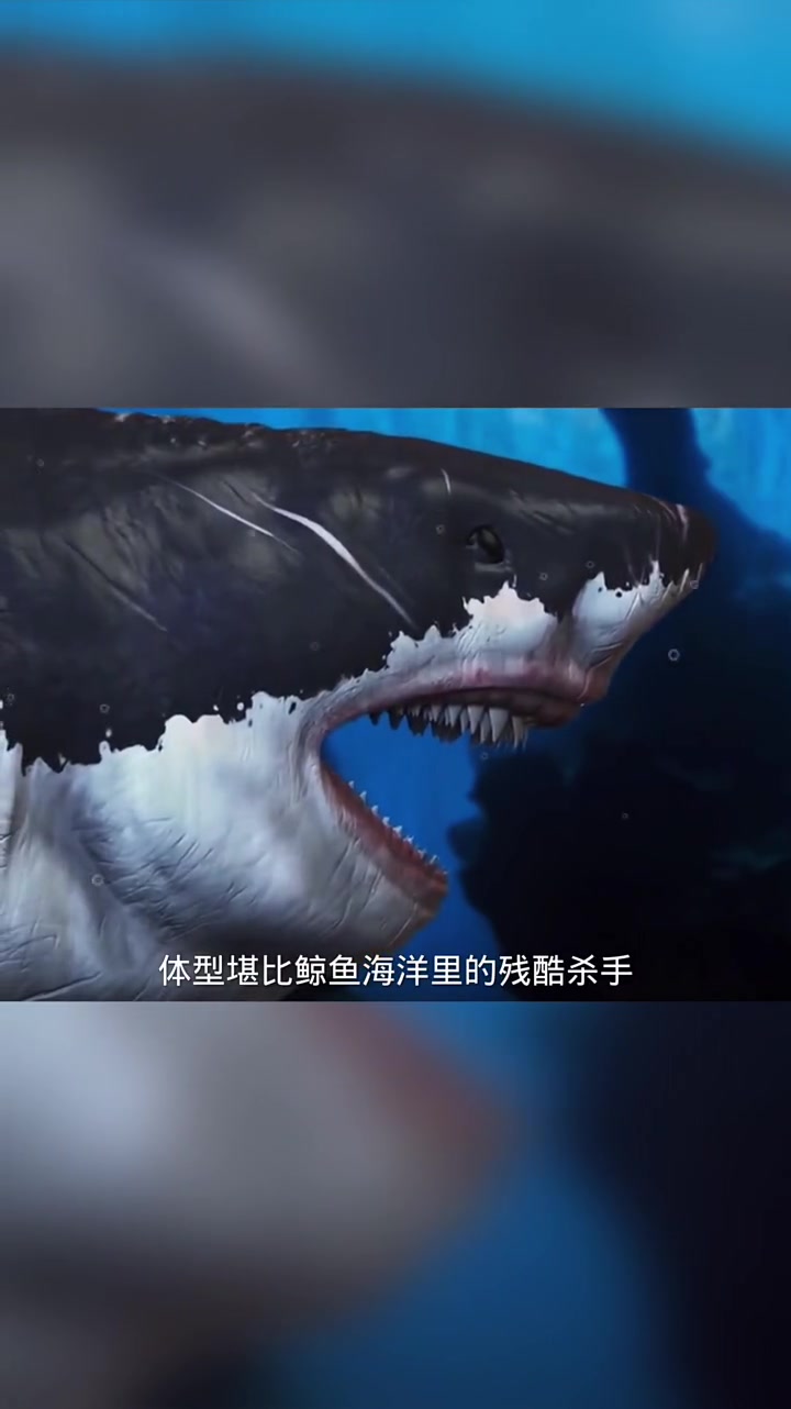 史上最恐怖鲨鱼