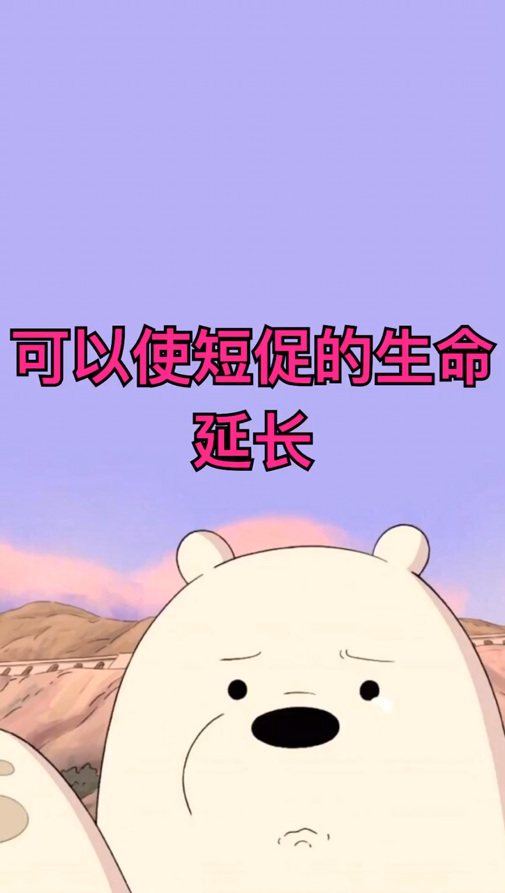 珍爱生命手抄报内容