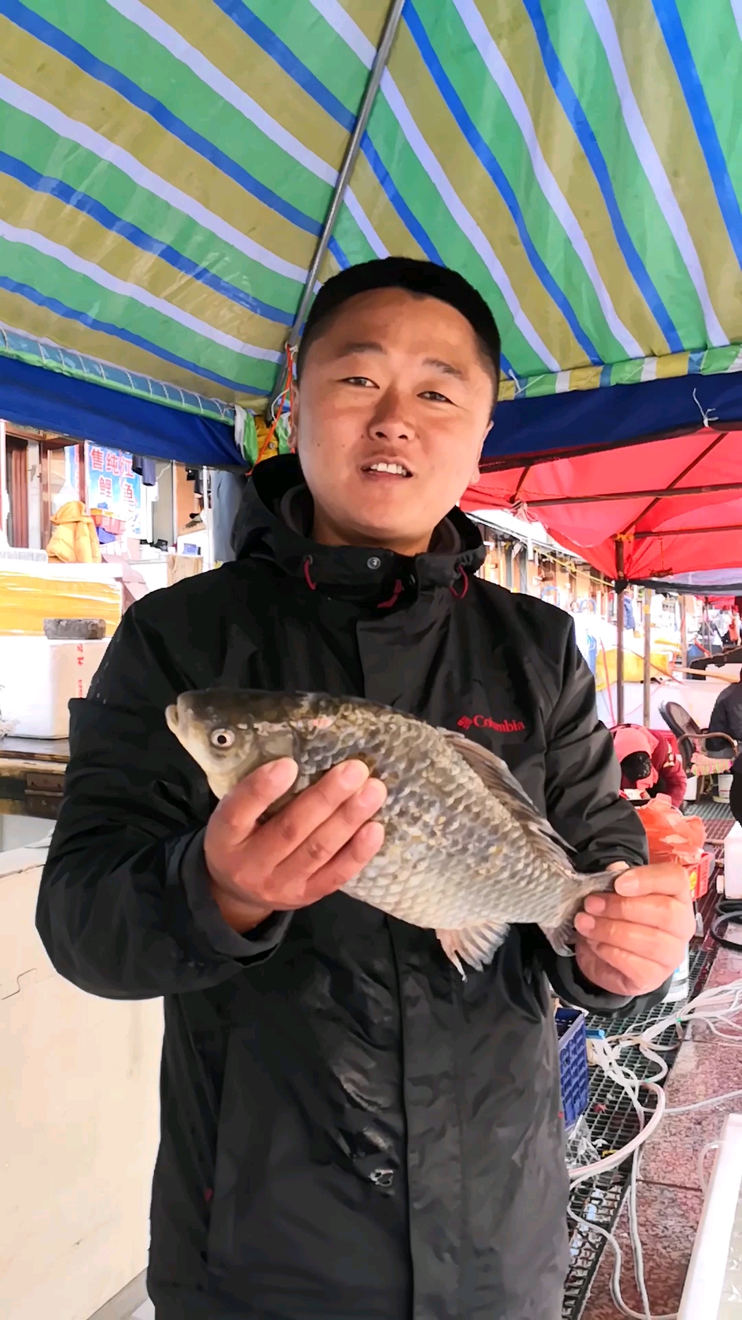 2斤8两野生鲫鱼