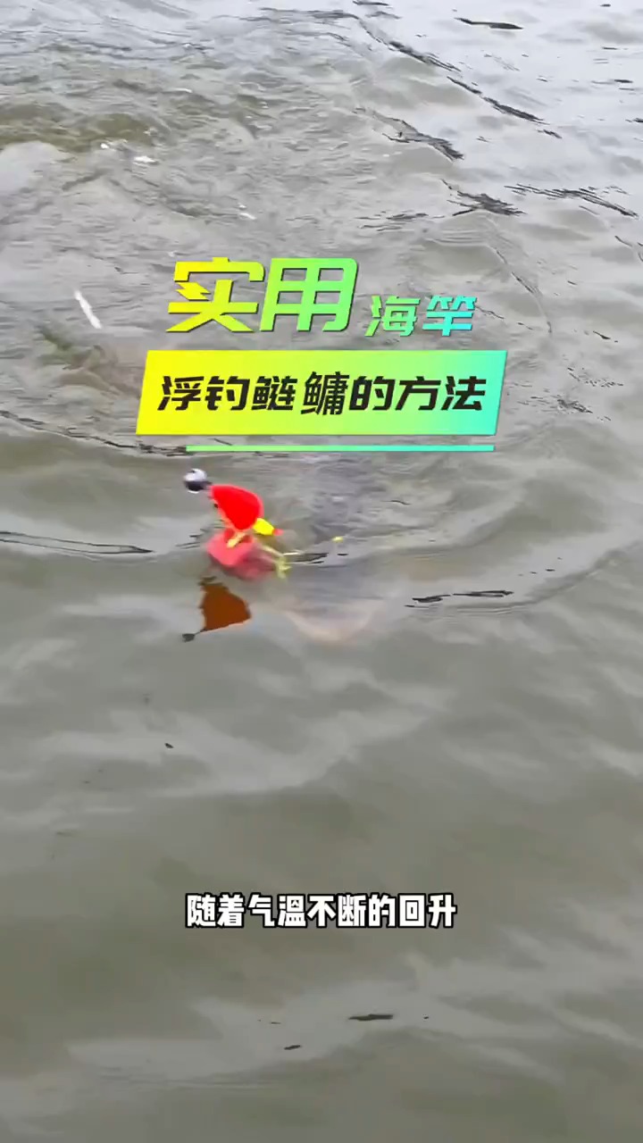 海竿底钓大鲤鱼大青鱼的方法