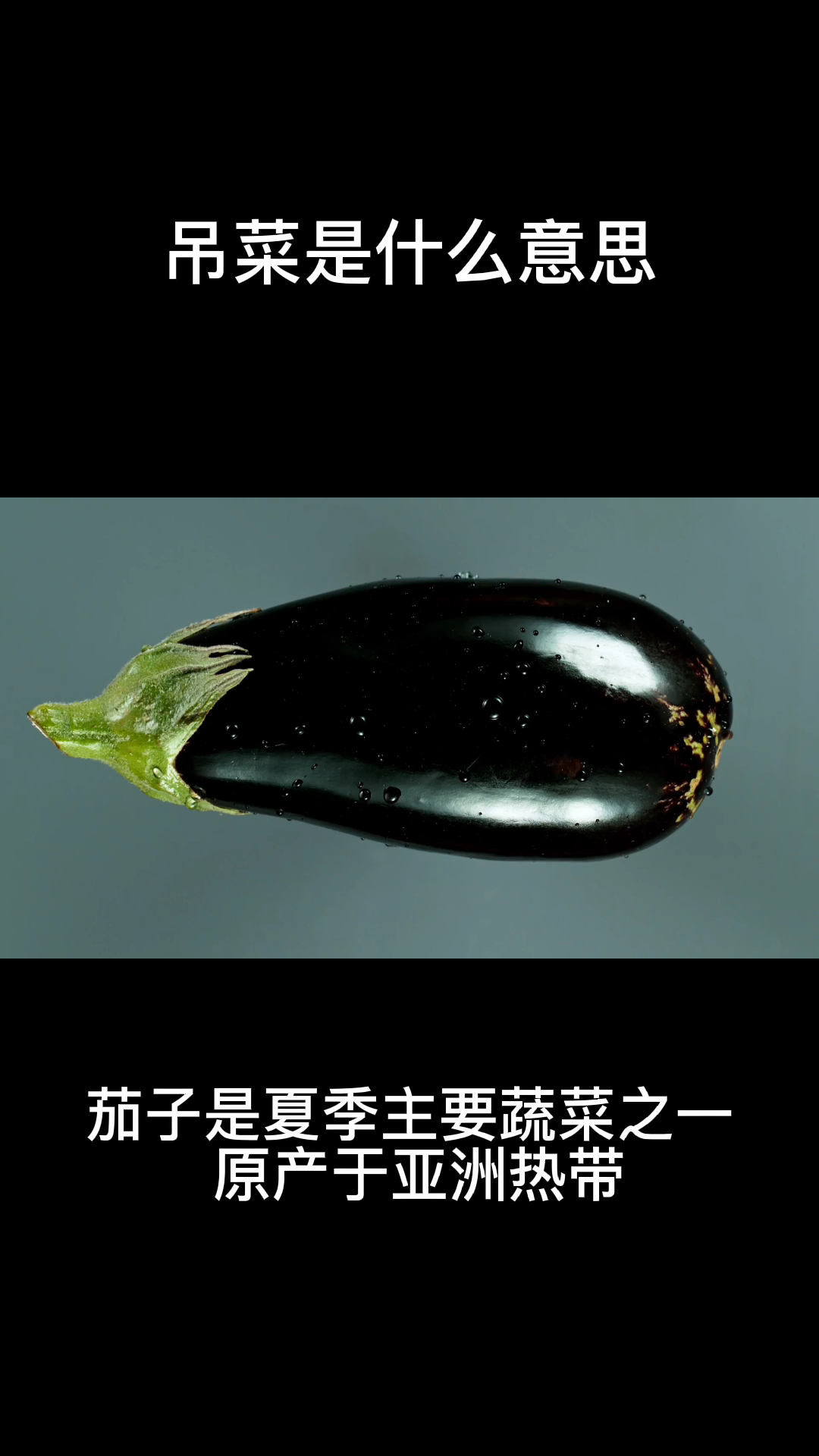 吊菜是什么意思 