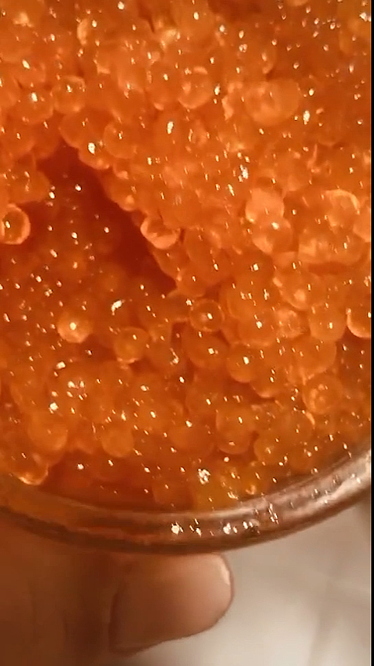 严格意义上来说,视频中黄色的鲑鱼籽不能称之为鱼子酱,只有黑色的鲟鱼才名副其 