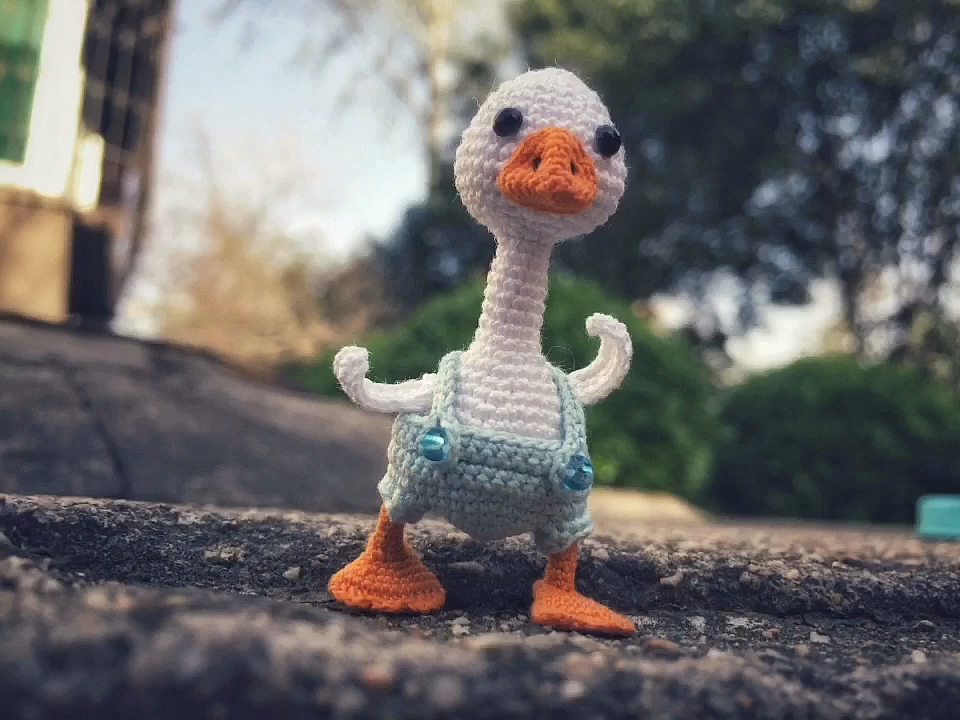 #寻找最牛手艺人#呆头鹅钩好啦!耗时三天,带它出了外景,简直萌呆啦～