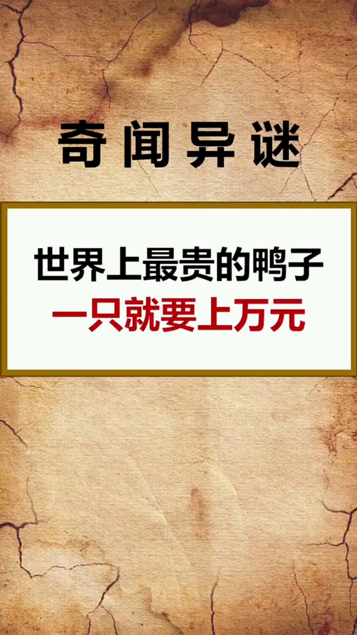 世界上最贵的鸭子一只就要上万元!