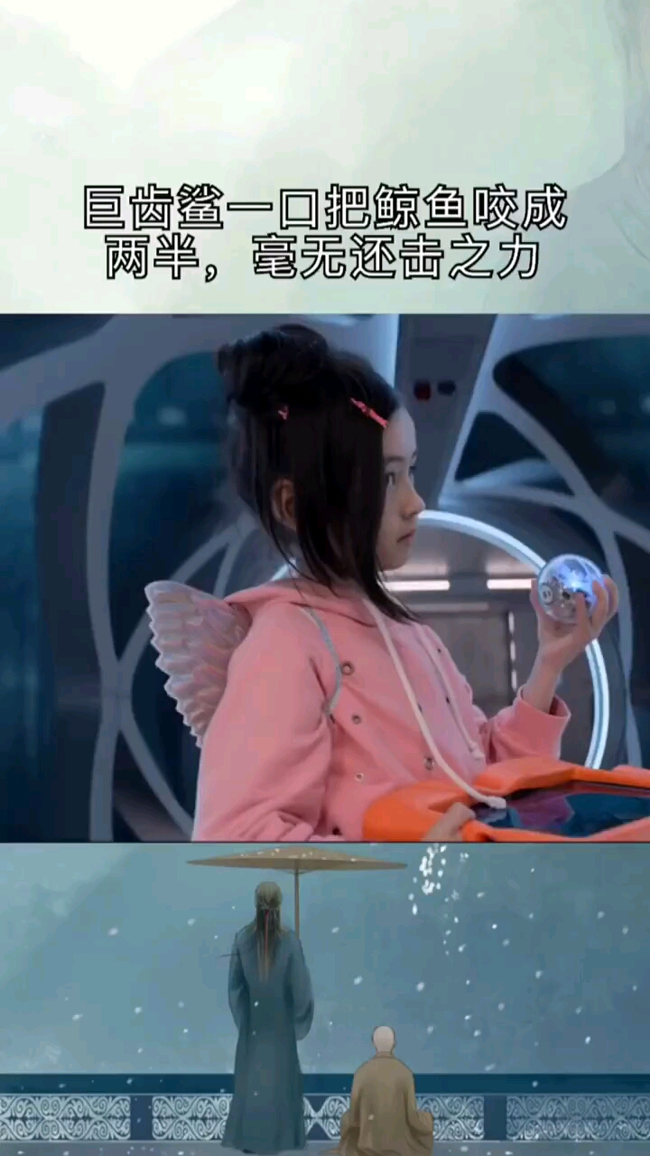 巨齿鲨一把鲸鱼咬成两半,毫无还击之力