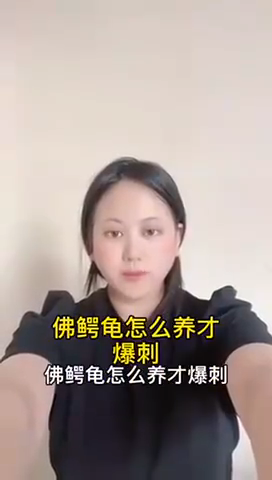 佛鳄龟怎么养才爆刺