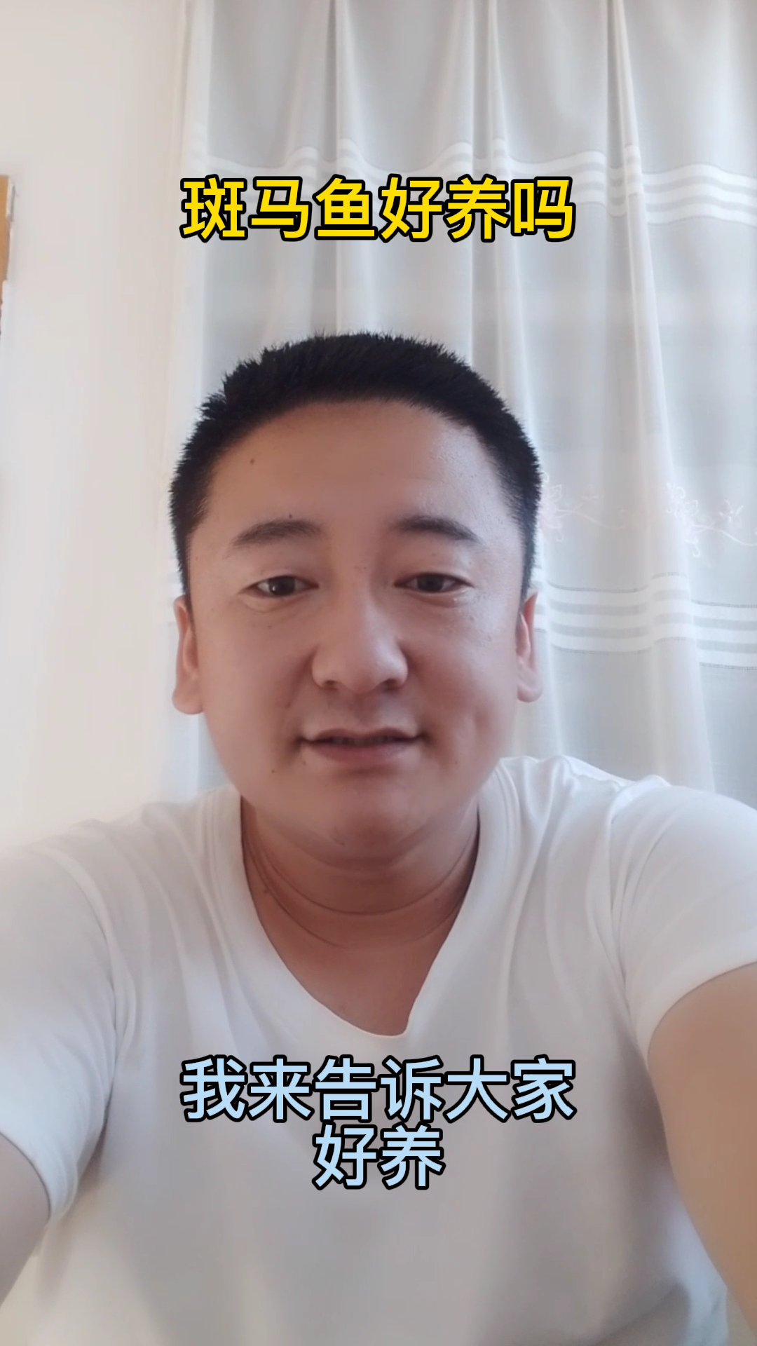 斑马鱼好养吗   