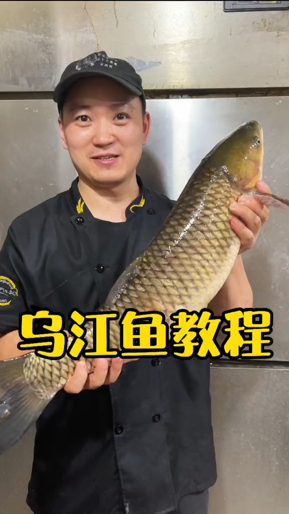 #轻知计划#今天用20斤的大草棒做个乌江鱼,爽惨了!