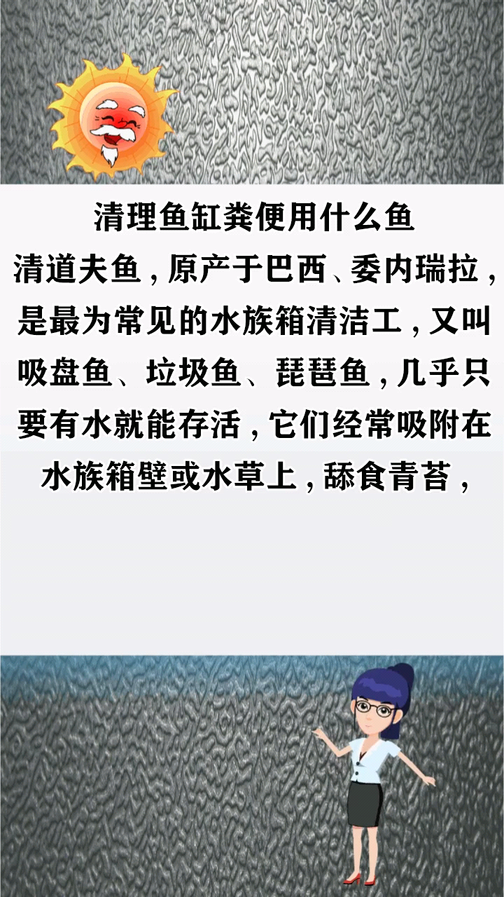 清理鱼缸粪便用什么鱼