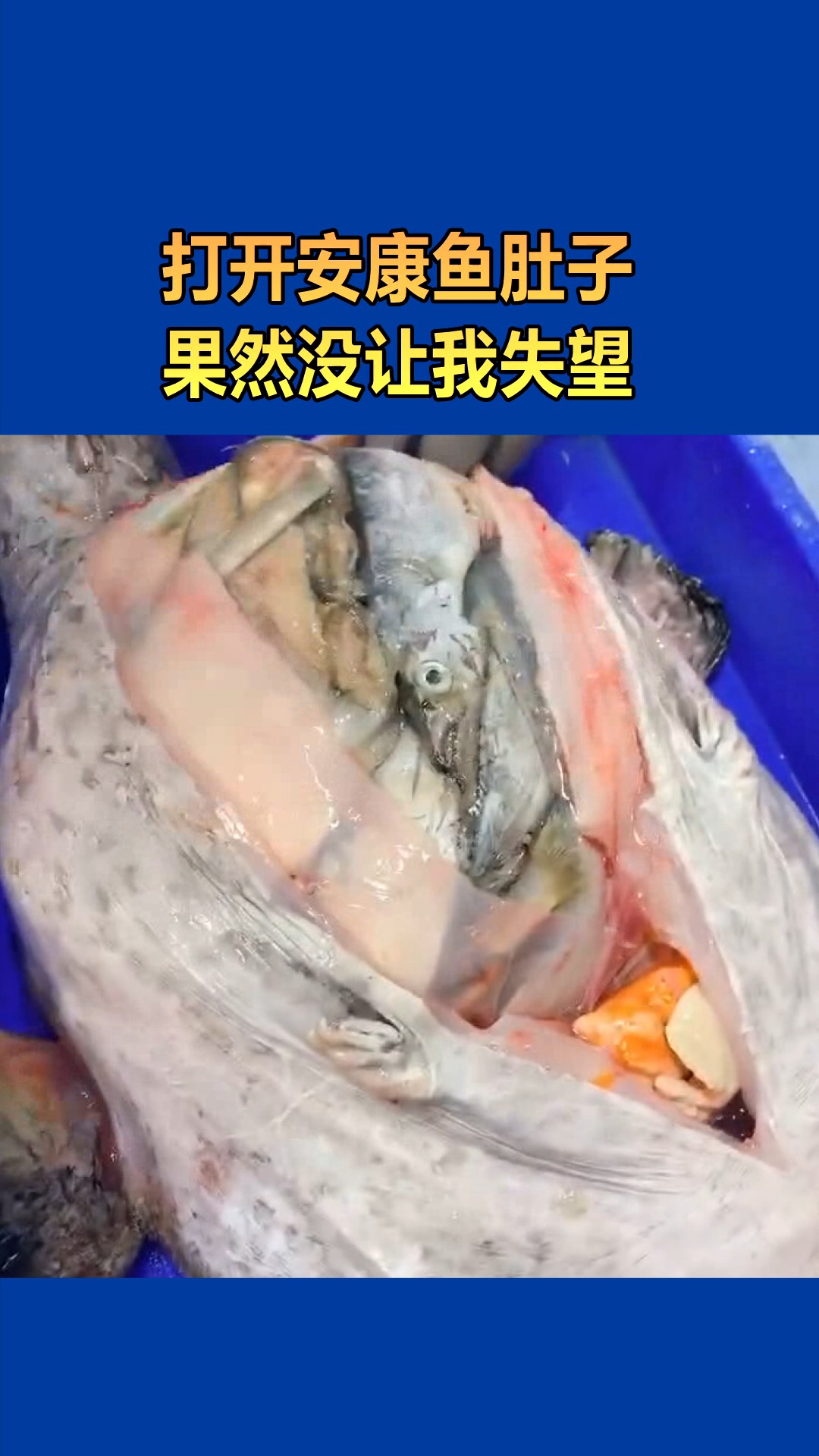 #我要上热门#打开安康鱼肚子,果然没让我失望