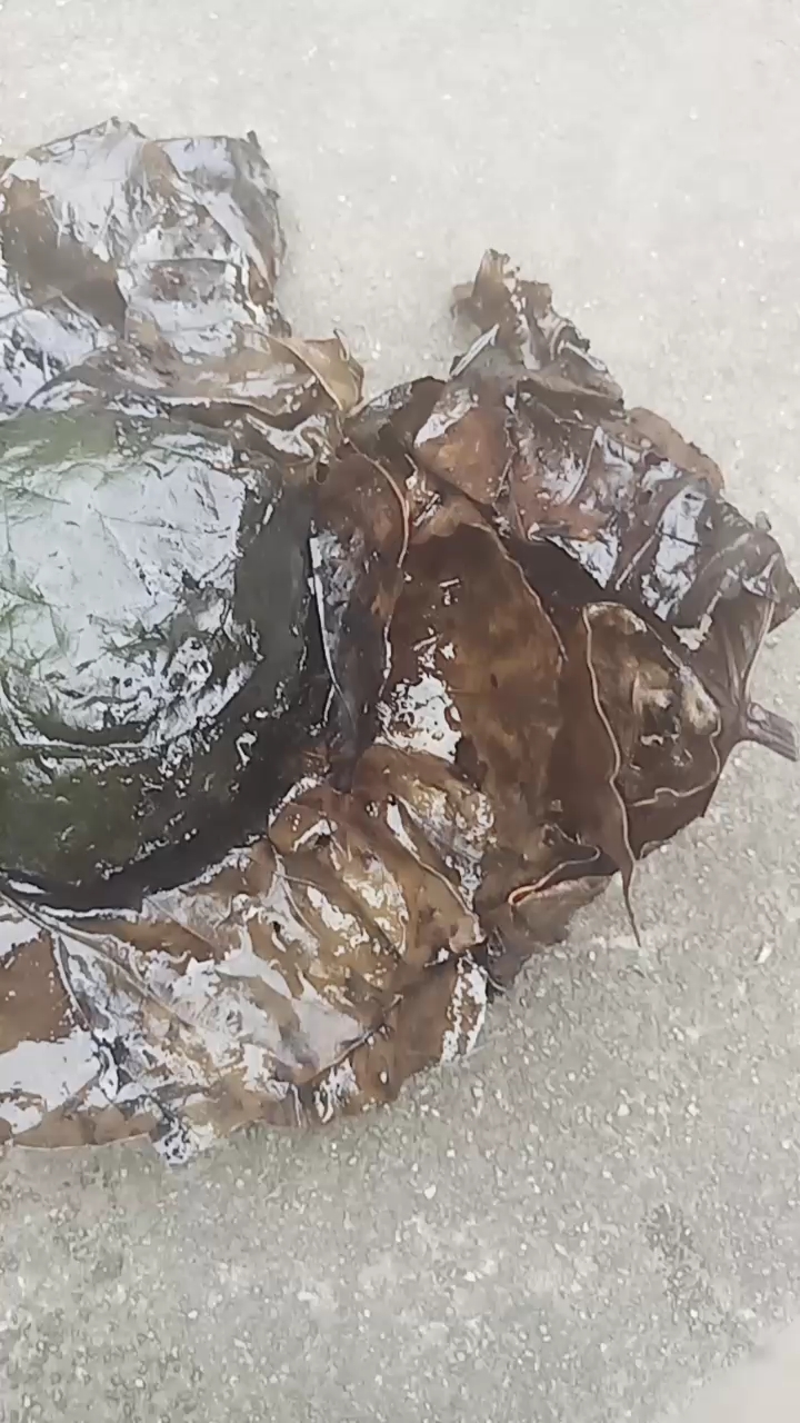 家乡的粉糍粑  味道不错