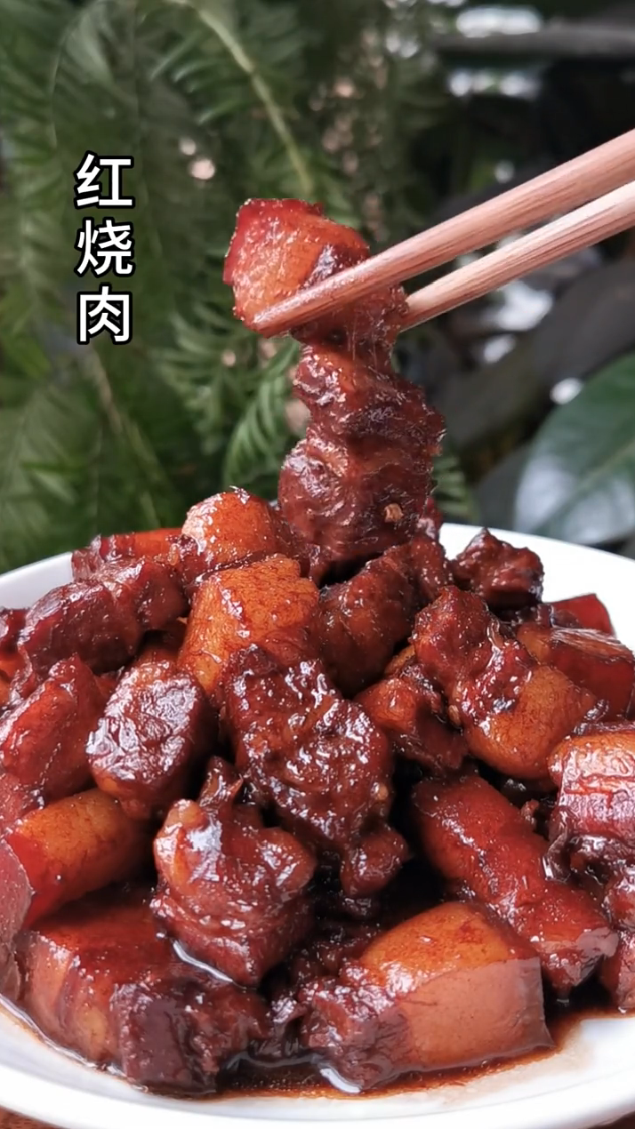 红烧肉菜谱大全。