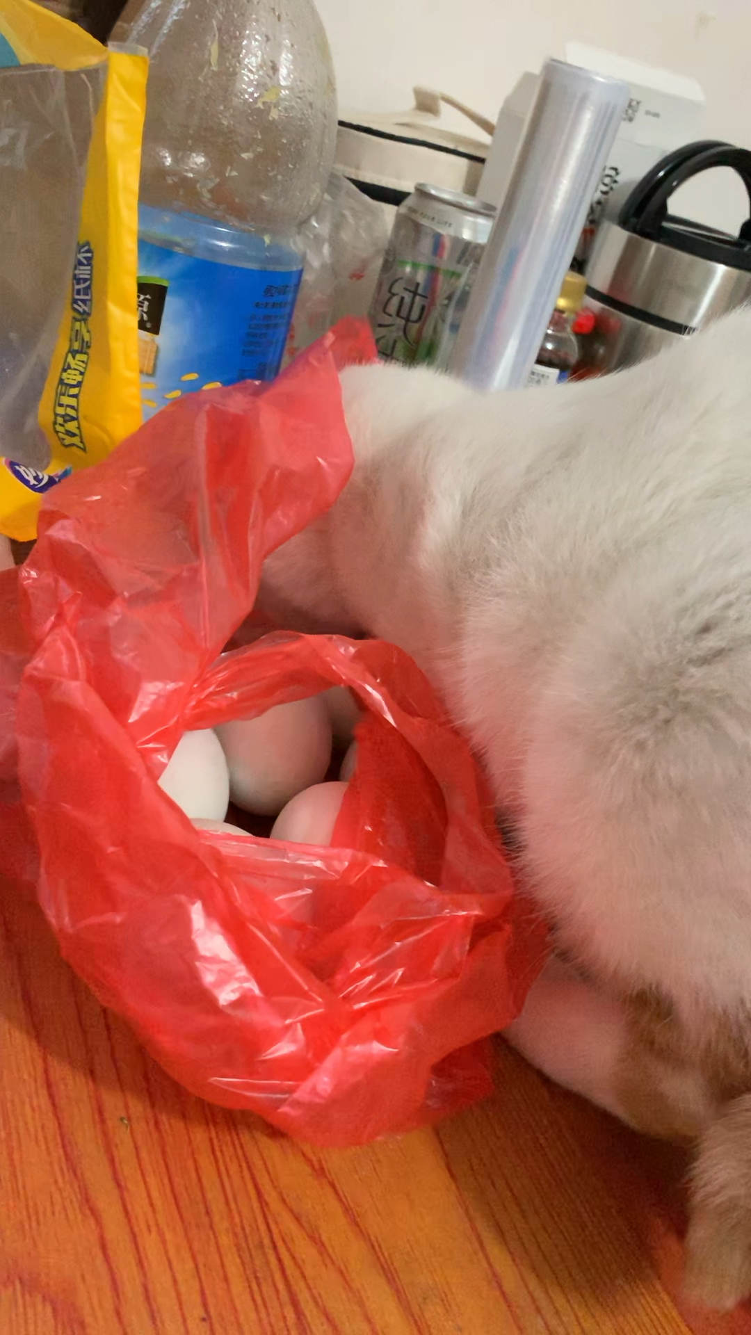 你是母鸡吗 