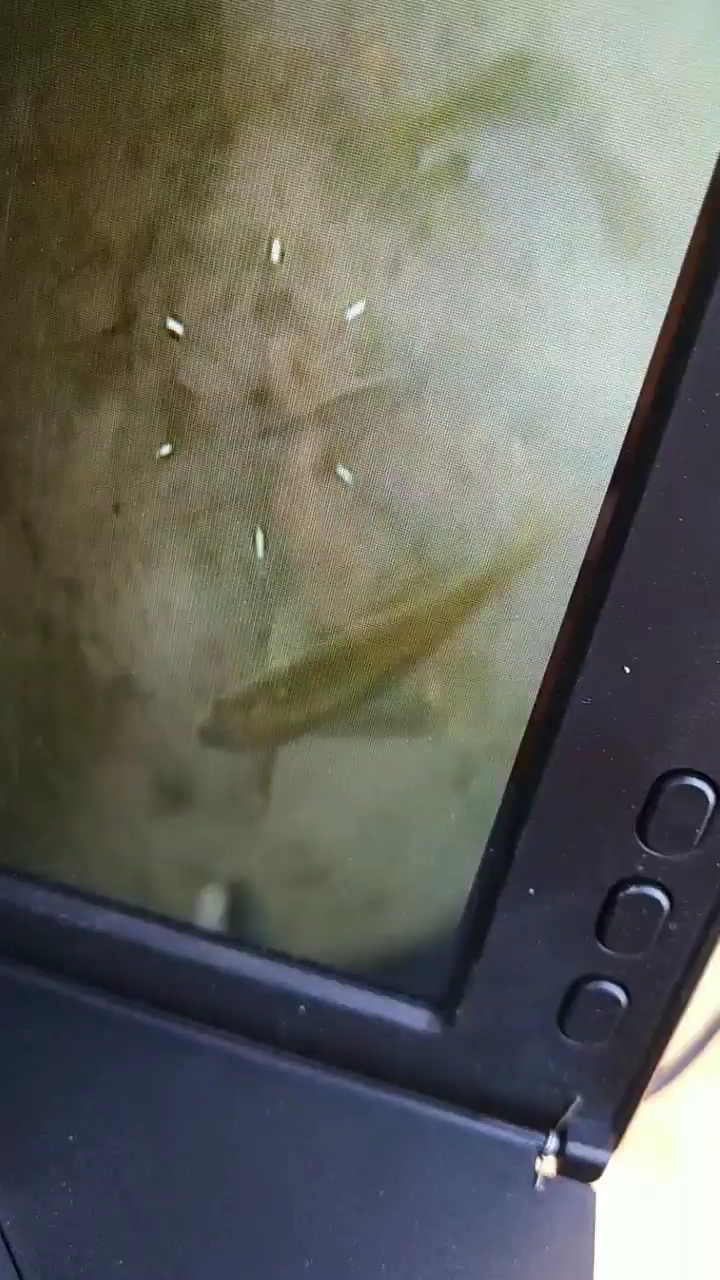 顶配可视锚鱼器,全网最高清摄像头