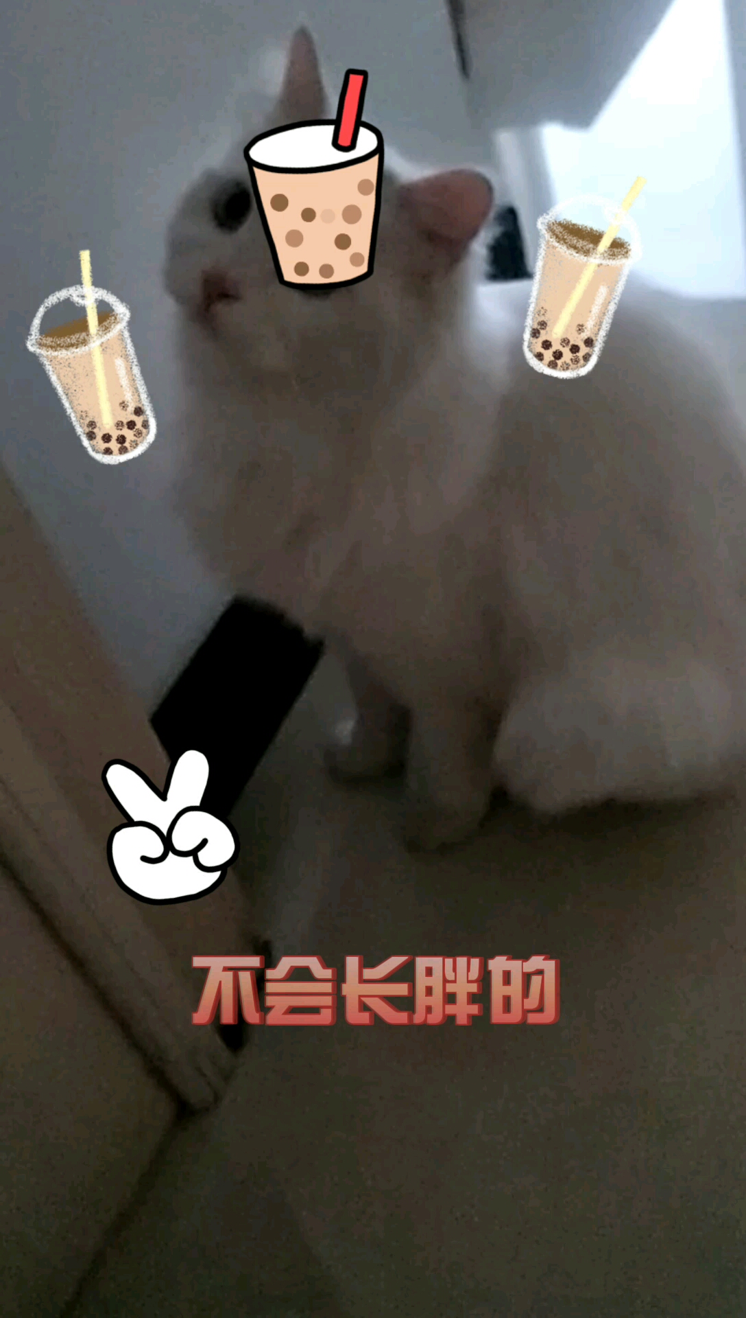 #奶茶#喝奶茶是不会胖的哦 不喝奶茶也不会瘦  所以想喝就喝吧