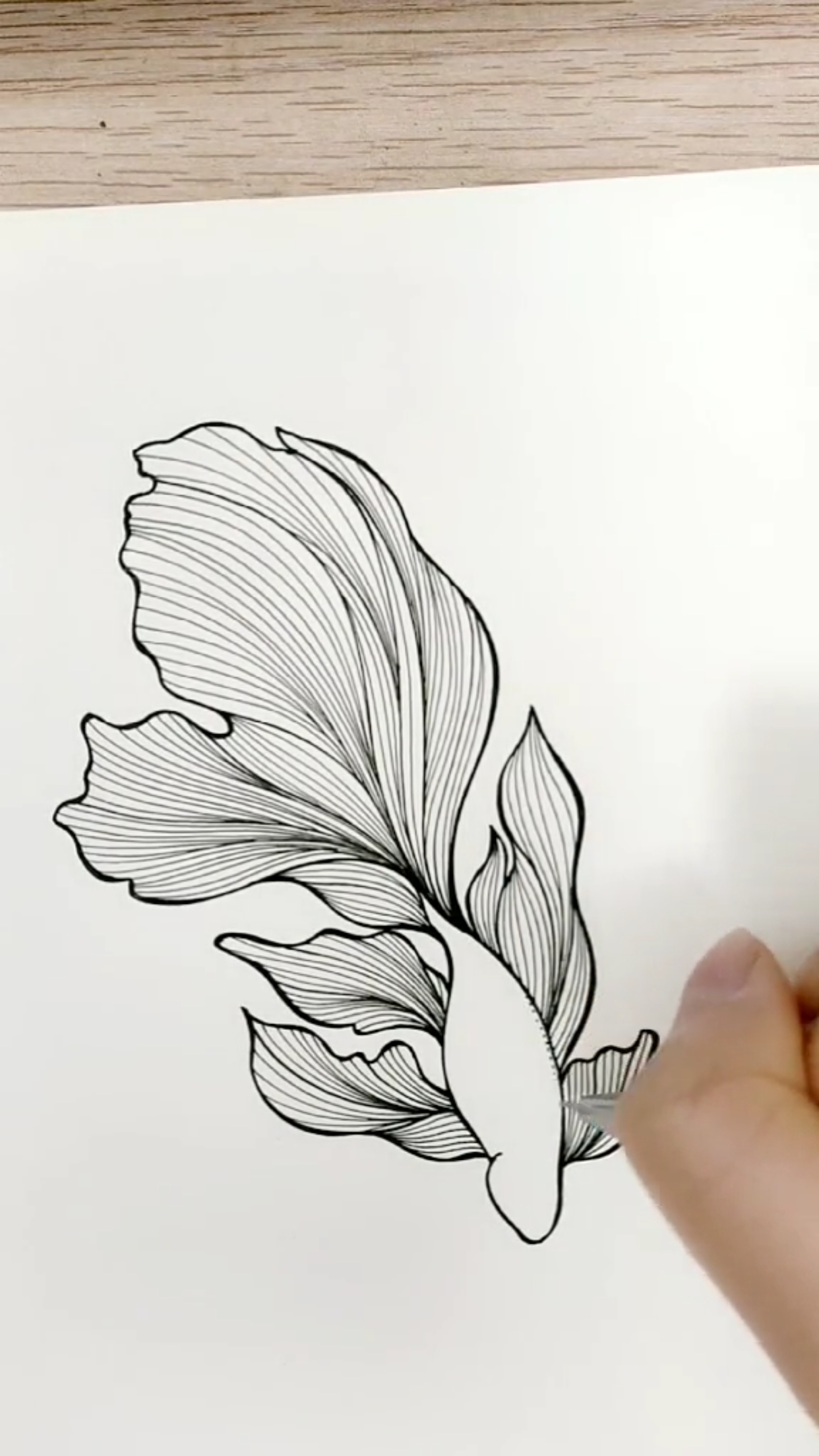 #创意简笔画#小金鱼简笔画喜欢吗