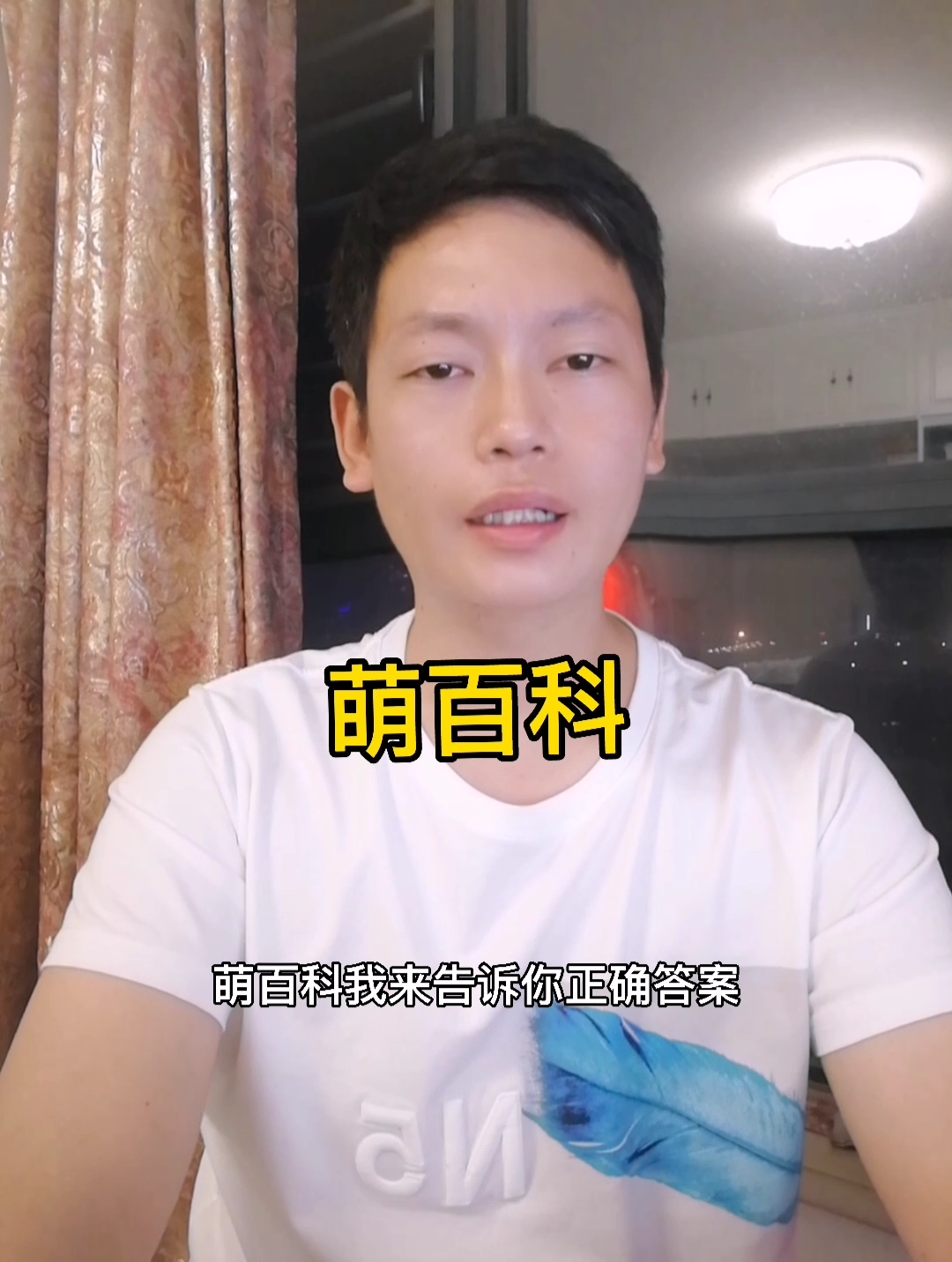 萌百科是什么呢?