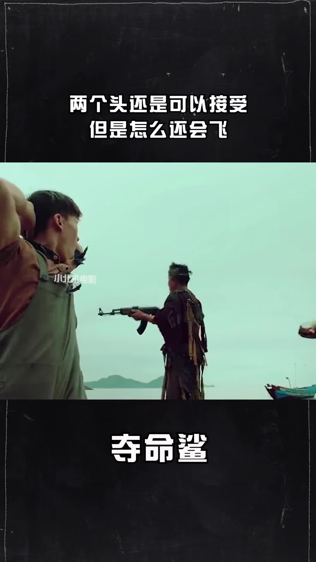 两个头还是可以接受,但是怎么还会飞