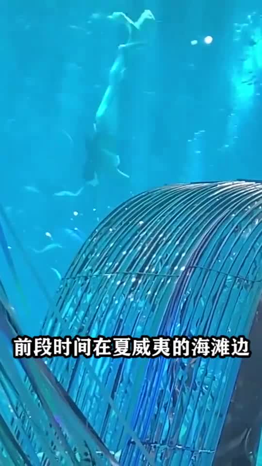 美人鱼真实存在,夏威夷海滩发现美人鱼