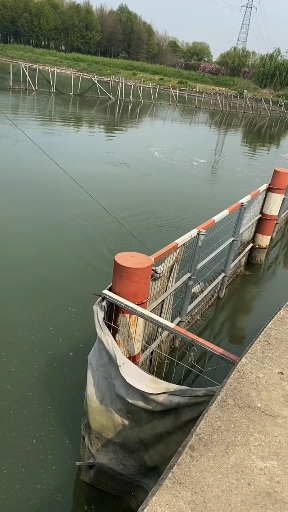 #可视锚鱼#可视锚鱼看到鱼真多啊，馋人