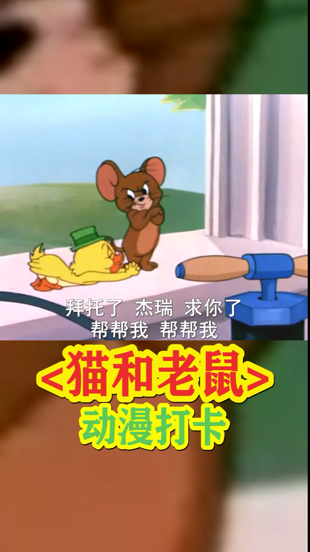 猫和老鼠:杰瑞帮小鸭子到了南方,以为拜托了汤姆,下秒汤姆就出现了