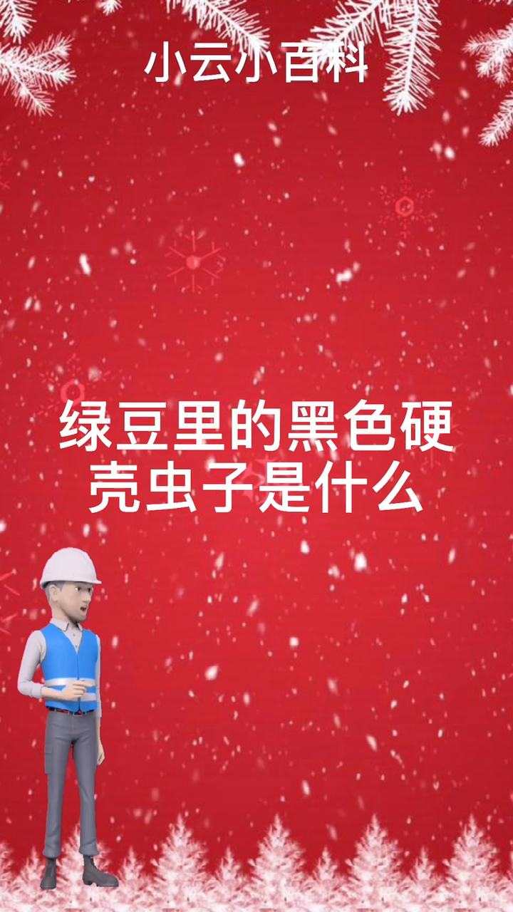 绿豆里的黑色硬壳虫子是什么