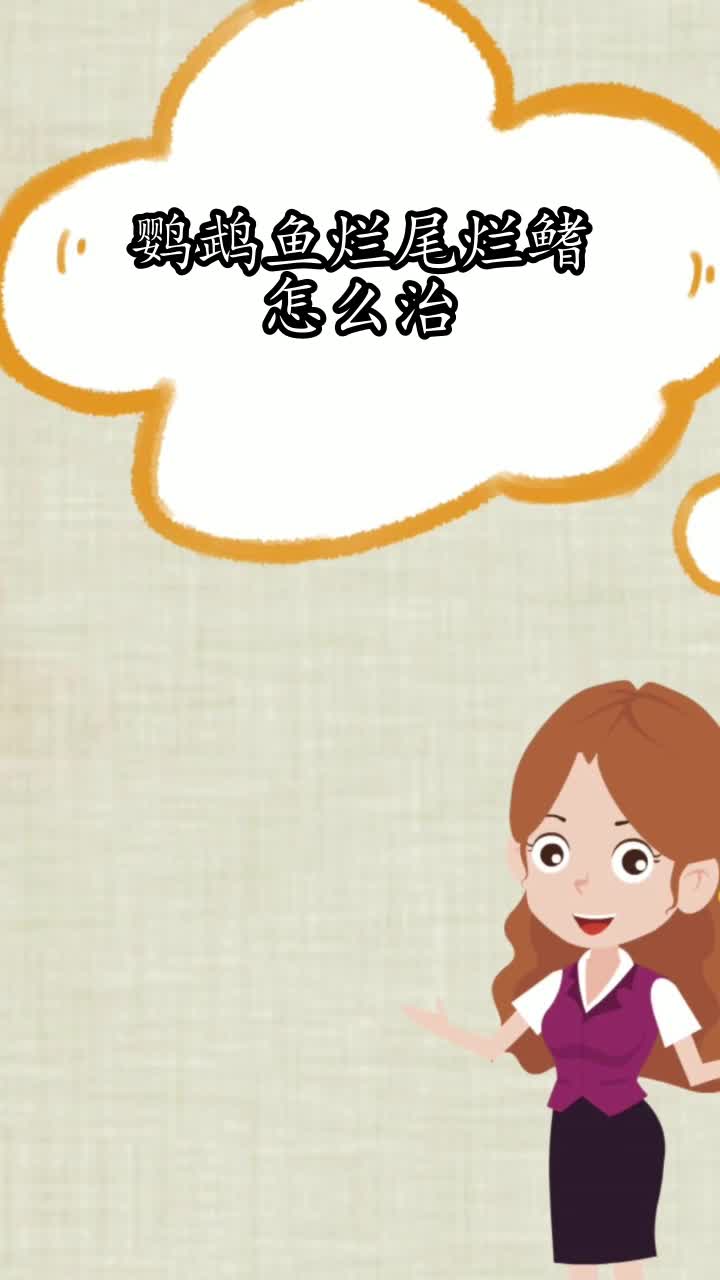 鹦鹉鱼烂尾烂鳍怎么治,你学会了吗