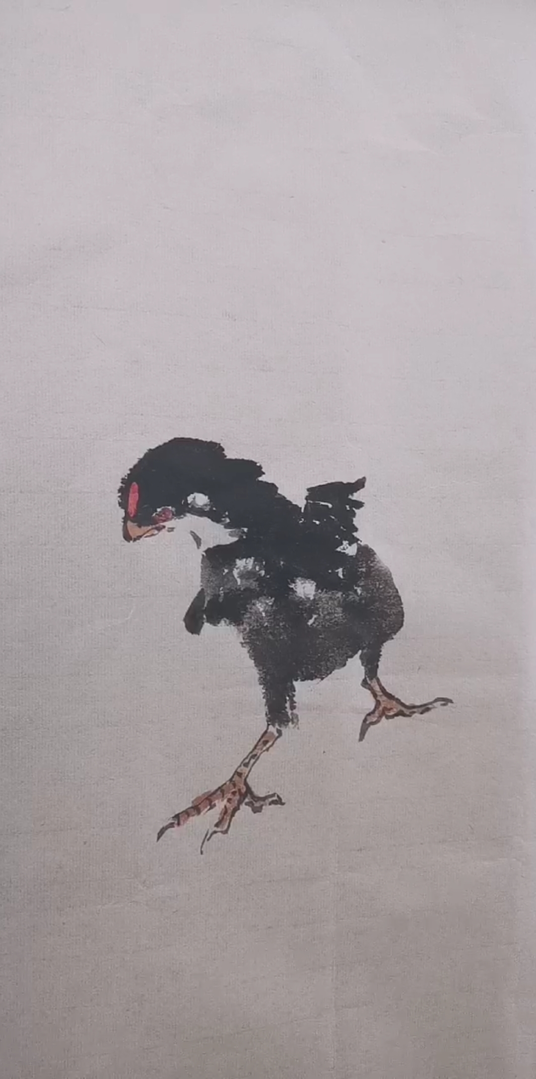 一学就会雏鸡画法