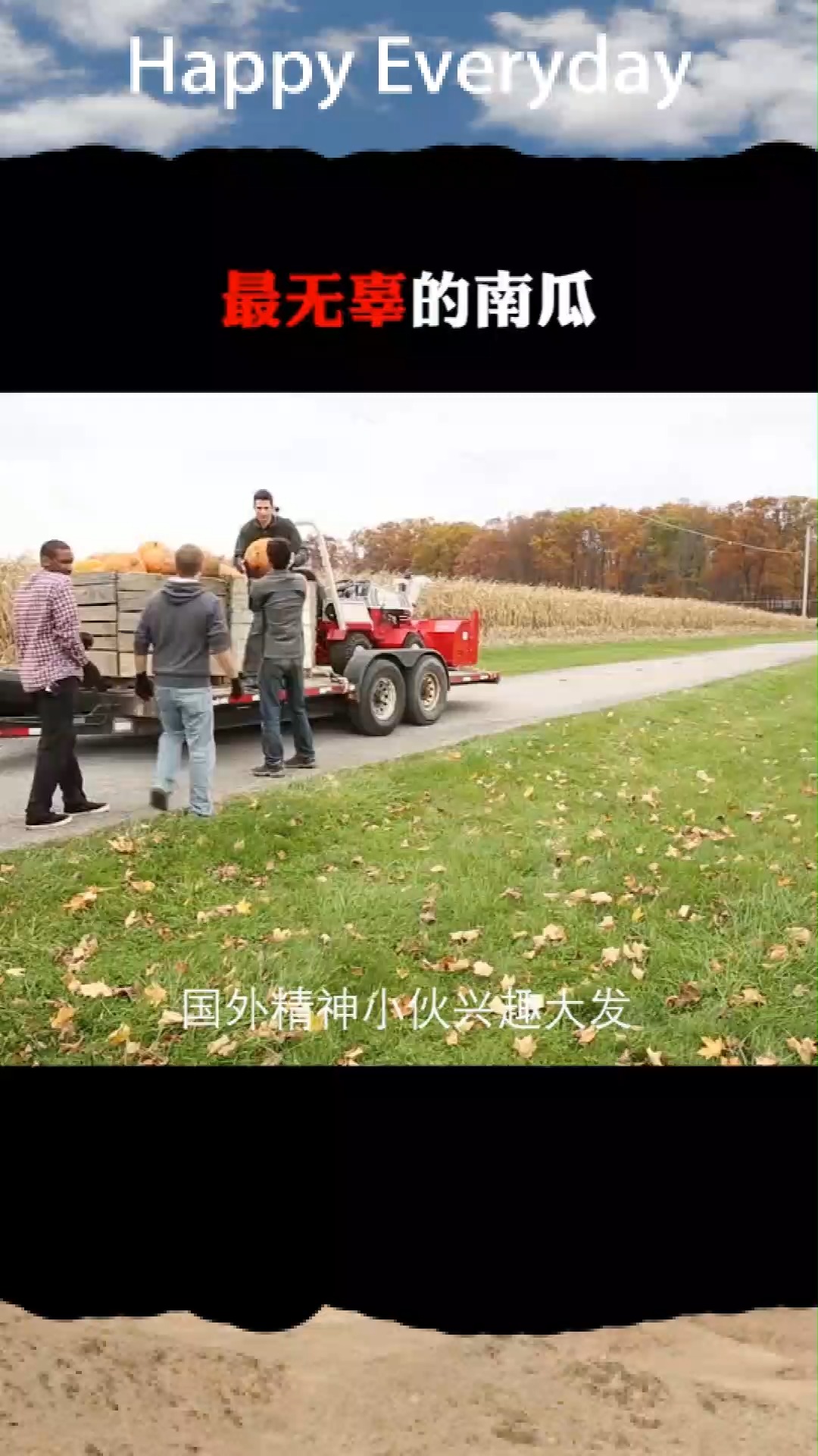 这是最委屈的南瓜,那么大的南瓜,做成南瓜饼不香吗?