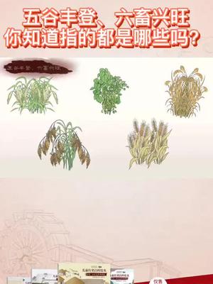 五谷丰登六畜兴旺你知道指的都是哪些吗 花样荐书  天府书展云世界#六畜是指哪六畜#