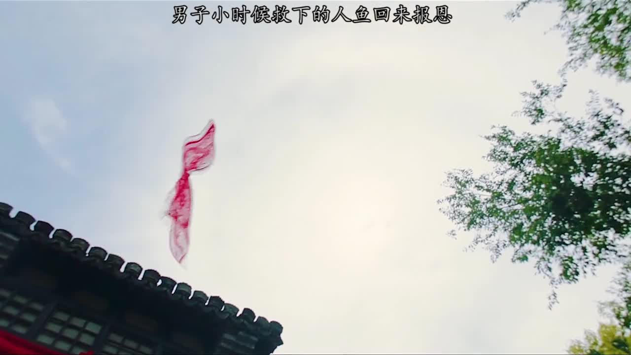 男子小时候救下一条人鱼,人鱼苦苦找寻多年就为嫁给他#封神之人鱼传说