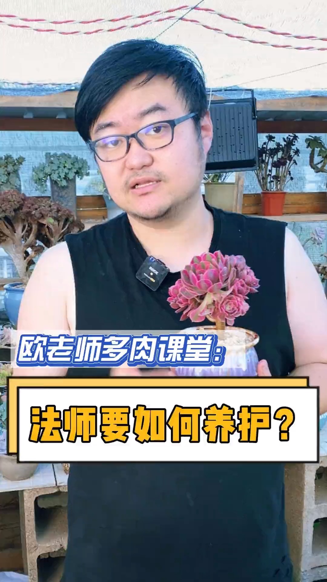 #有一种可爱叫多肉!#法师到底要怎么养护呢?这个视频告诉你#多肉 #多肉植物#多肉养护