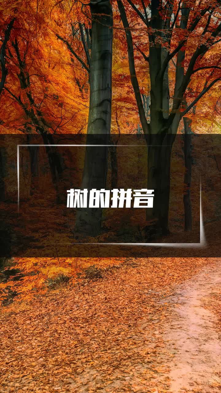 树的拼音