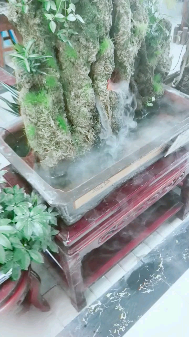 分享视频