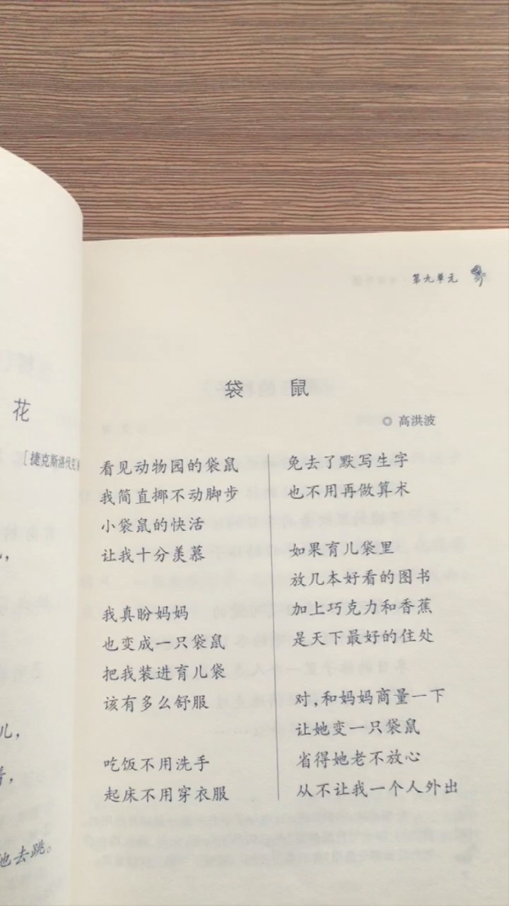 让妈妈变成袋鼠