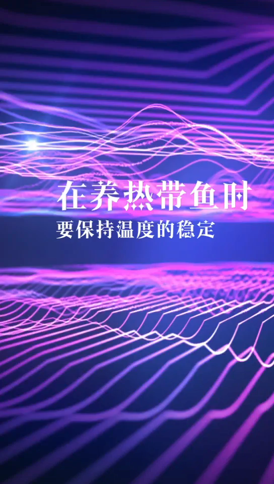 热带鱼怎么养不会死