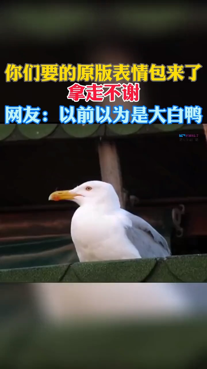谁用过此表情包的,请举手!