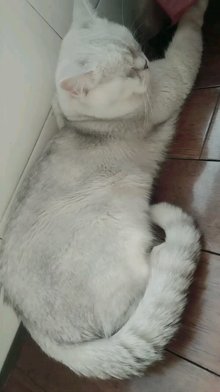 一个此一个大……
