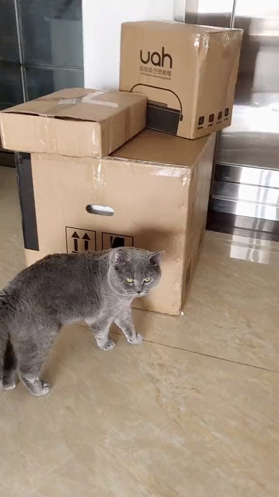今天吃烤猫肉大餐!有想一起的吗?
