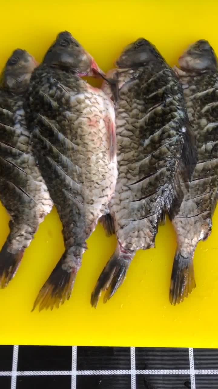 #美食教程#菜品每天更新31