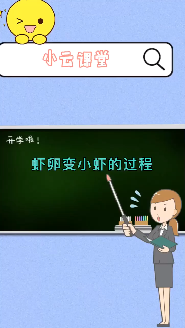 虾卵变小虾的过程