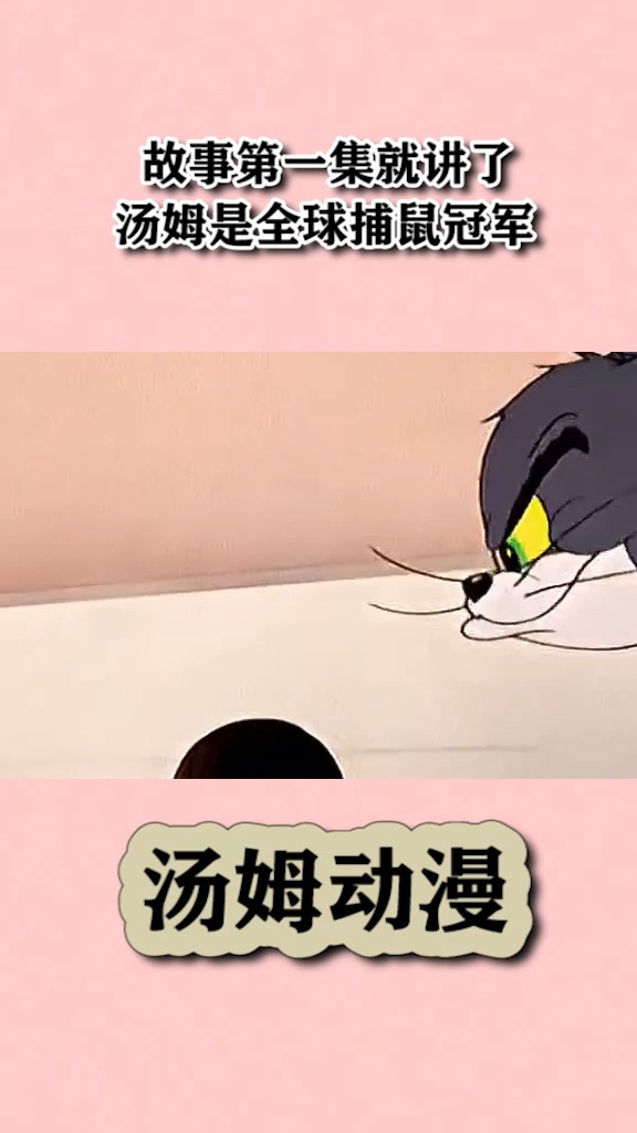 故事第一集就讲了,汤姆是全球捕鼠冠军
