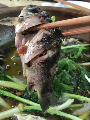 找到一家卡卡角角老巷子里的美味,人均仅30元的石锅土鲫鱼,够酸爽麻辣!