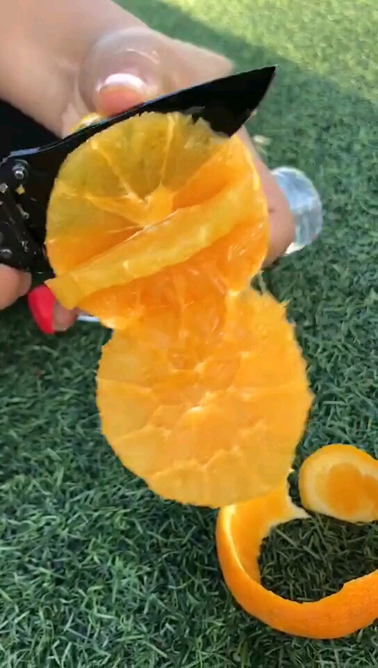 这才是真正的果粒橙,好多肉呀!