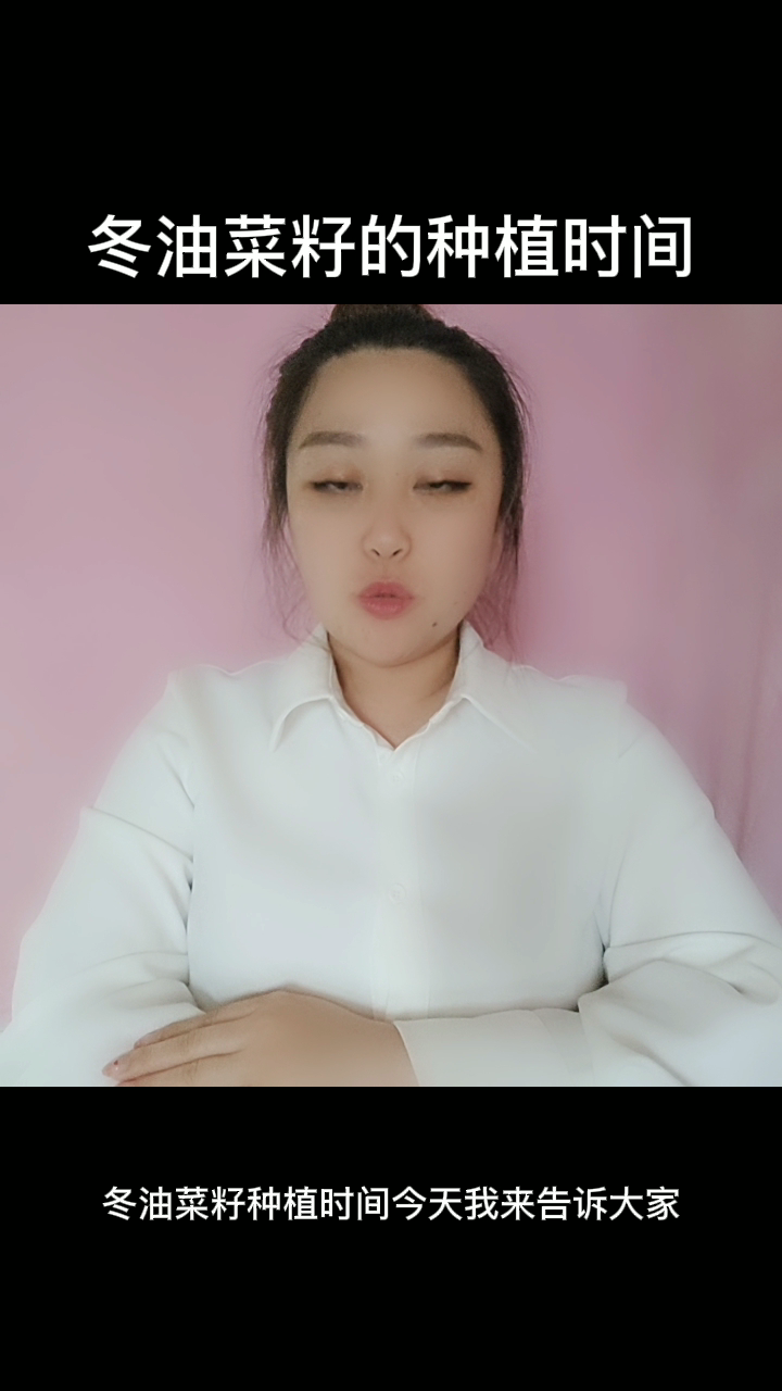冬油菜籽的种植时间