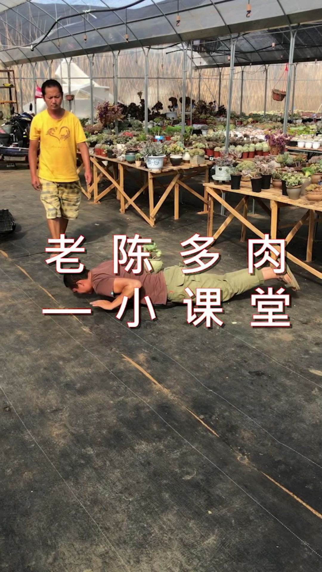 #避暑好去处#关于碧桃,就和做豆腐一样!养不好,没什么问题!同意的点赞关注