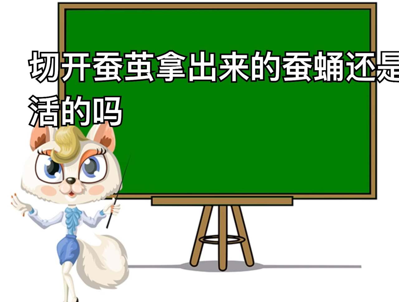 蚕怎么分公母最简单的方法